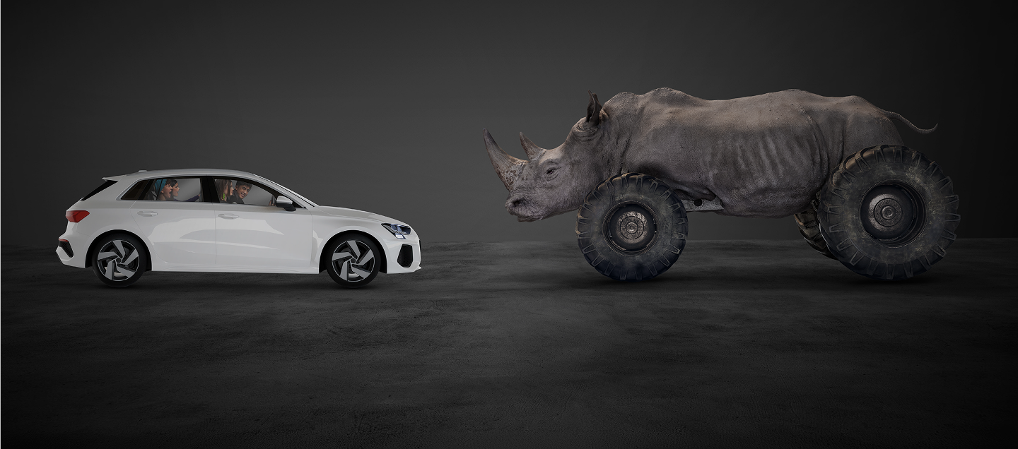 Rhino and Car face off